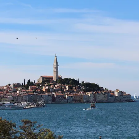 Гостевой дом And Bella Vista Ровинь